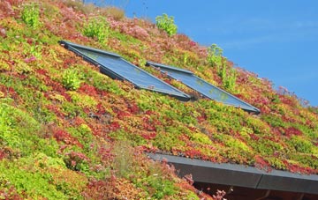 Trench living roof systems