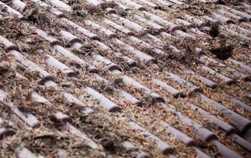 Trench roof cleaning companies