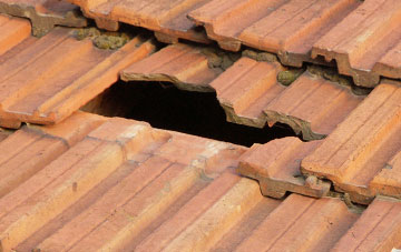 roof repair Trench, Shropshire